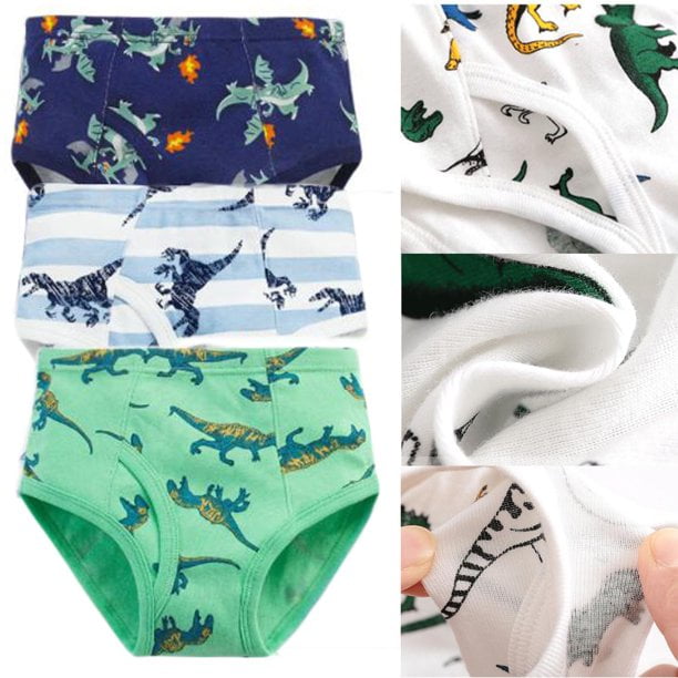 Dinosaur Underwear Womens