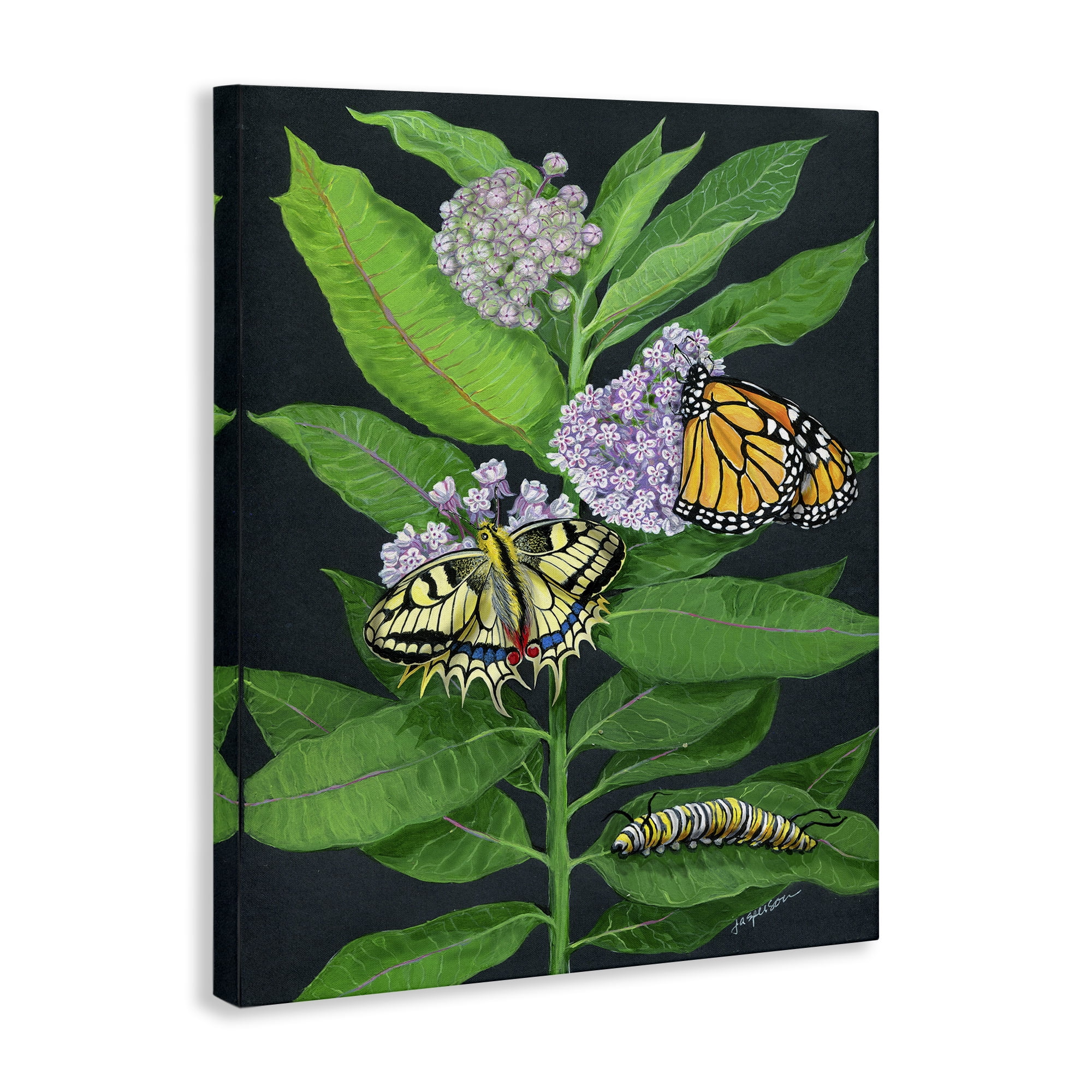 Stupell Industries Vintage Milkweed & Insects Animals & Insects Painting Gallery Wrapped Canvas Art Print Wall Art, 16 x 20