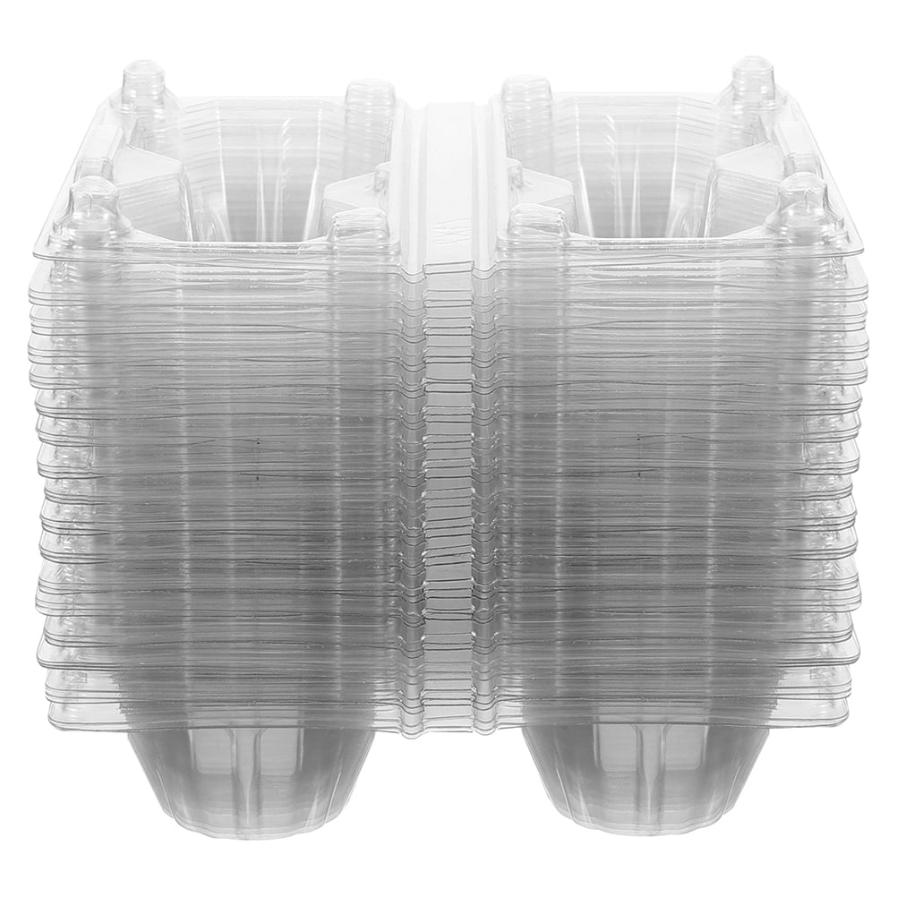 BERTDOMD 100-Pack Clear 2-Slot Storage Cartons, Reusable Chicken Containers and Trays for Kitchen Organization and Food Storage