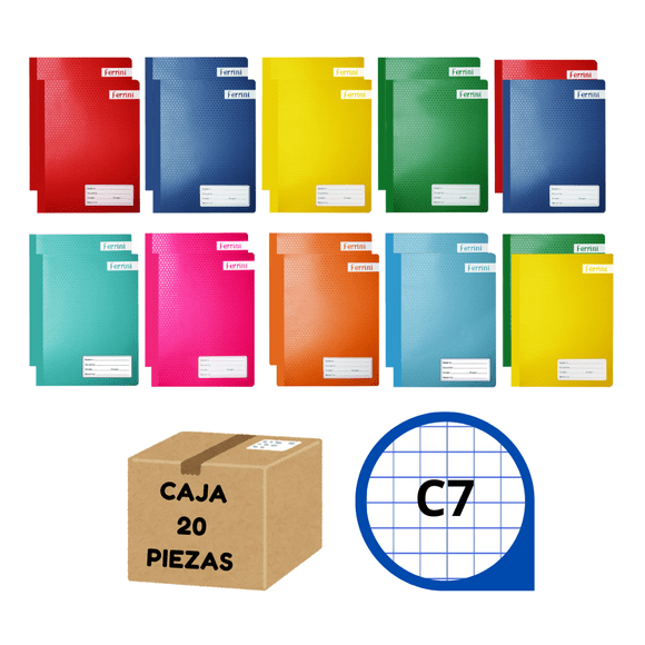 Cuaderno Profesional Cosido Ferrini 100 H Cuadro Grande Caja 20 Piezas