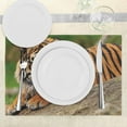 thumbnail image 3 of Ambesonne Tiger Place Mats Set of 4, Tiger Crouching on Rock, Standard Size, Multicolor, 3 of 6