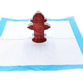 thumbnail image 1 of Tapis pour Pipi de Chien Hongchun, 10 Pcs Tapis pour Pipi de Chien en Papier en Forme de Borne-Fontaine, Guide de Tapis pour Couches pour Animaux de Compagnie, Guide de Pot pour Animaux, 1 of 5