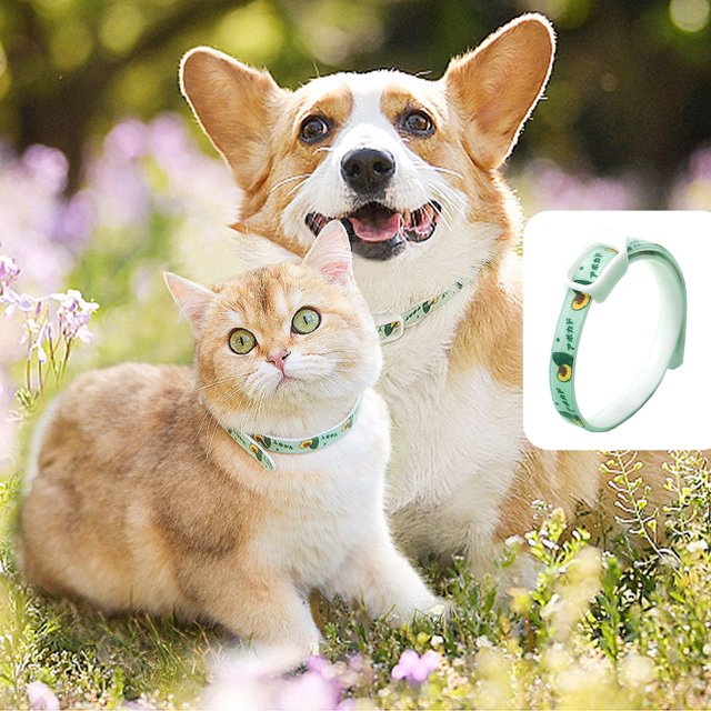 XWSHYW Productos para Mascotas Gatos Collar Repelente de Perros, Collar Repelente de Mosquitos, Collar para Pulgas, Suministros para Mascotas, Collar de Prevención de Pulgas, Repele Pulgas