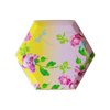 Cynthia Rowley Golden Hour Floral Ombre Small Plates