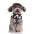 thumbnail image 1 of Lindo Chaleco De Arnés Para Mascotas Dulce Con Sombrero De Moda Para Perros XS / M Negro Blanco-XS Salvador Arnés para chaleco para perros, 1 of 10