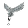 thumbnail image 2 of Anne Stokes Réveille Ton Hibou Enneigé avec Pendentif Pentagramme Sculpture Murale, 2 of 3