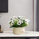 thumbnail image 5 of Plantas de flores artificiales en macetas, vegetación en macetas, pequeñas plantas falsas, flores de imitación de plástico con jarrón de cerámica para Margarita blanca Soledad Bonsái en maceta, 5 of 7