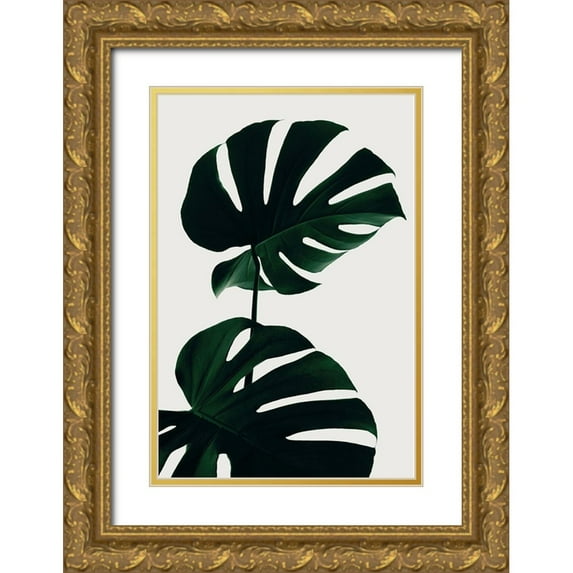 Artographie Studio 23x32 Gold Ornate Wood Framed with Double Matting Museum Art Print Titled - Monstera Natural 09
