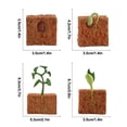 thumbnail image 3 of Figuras de juguete con ciclo de crecimiento de plantas, 4 unidades, para niños, decoración del hogar, 3 of 5