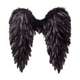 thumbnail image 1 of Angel Accessoires de Costume d'Halloween, Déguisement de Fée, Plume, Enfants, 1 of 7