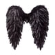 thumbnail image 1 of Alas de ángel, alas de hada, accesorios para disfraces de Halloween y carnaval. Niños, 1 of 7