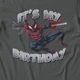 thumbnail image 3 of Marvel Spider-Man Birthday Classic Pose Men's T Shirt (Charcoal, S-XXXL), 3 of 4