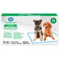 thumbnail image 1 of Great Value Training Pads, XL 75 Pads, 1 of 4