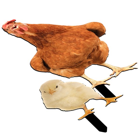 HEALEEP 2Ud Señal De Gallina De Acrílico Para Jardín Exterior Resistente Y Colorida