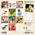 thumbnail image 2 of Kittens & Puppies | 2026 7x14" (Hanging) Monthly Mini Wall Calendar | BrownTrout, 2 of 9