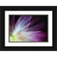 thumbnail image 1 of Lionse, Art 32x23 Black Ornate Wood Framed with Double Matting Museum Art Print Titled - The Will-o-the-Wisp, 1 of 4