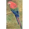 thumbnail image 1 of Great BIG Canvas | Rolled Henry Stacey Marks Poster Print entitled Red and Blue Macaw, 1 of 4