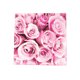 thumbnail image 1 of Decoraciones de la Fiesta de Cumpleaños Día de San Valentín Servilletas Impresas Desechables 16.5x16.5cm Toallas de Cara de Papel Multicolor Decoraciones de la Fiesta Del Té, 1 of 6