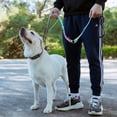 thumbnail image 7 of Heavy Duty Dog Leash, 4-7FT Shock Absorbing Bungee with 2 Padded Handles, Metal Carabiner & Seatbelt for Large Dogs, 7 of 7