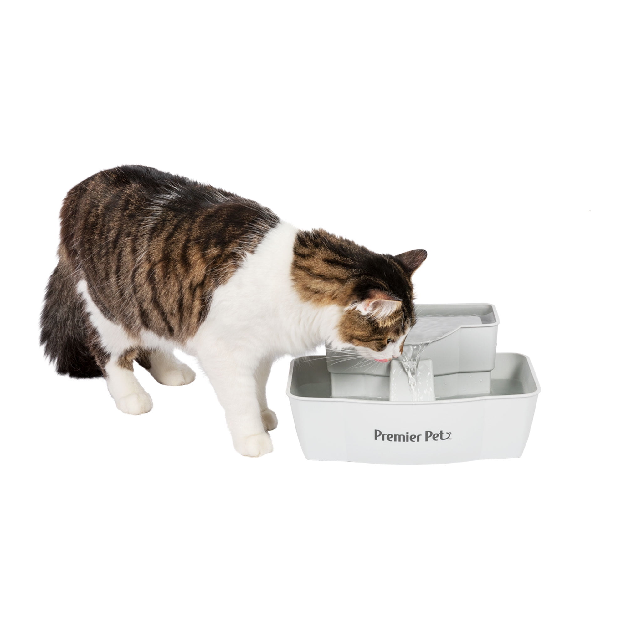 Premier Pet 100 oz. Pet Fountain Automatic Water Fountain for Cats