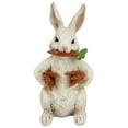 thumbnail image 2 of Design Toscano Carotene The Bunny Rabbit Garden Statue, 2 of 7