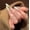 SG513 [Glue + jelly glue + sand strip + cleaning tablet + nail remover stick], variant on Hand-worn nail light luxury cat eye nail piece high-end fake nail manicure new flash nail patch removable