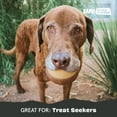 thumbnail image 5 of Barkbox Acornucopia Distributeur de Friandises Jouet à Mâcher Intérieur/extérieur Grand, 5 of 5