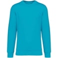 thumbnail image 1 of Native Spirit  Adult Crew Neck Sweatshirt, 1 of 2