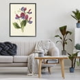 thumbnail image 3 of Stupell Industries Shabby Chic Vintage Sweet Pea Blossoms Black Framed Giclee Art, 24 x 30, by Connie Resch, 3 of 8