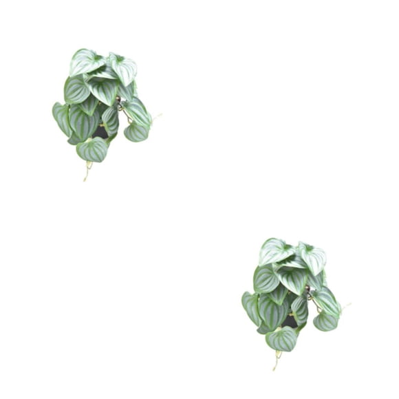 Plantas artificiales Bearachild vibrantes terrarios 2Conjunto Hoja de sandía