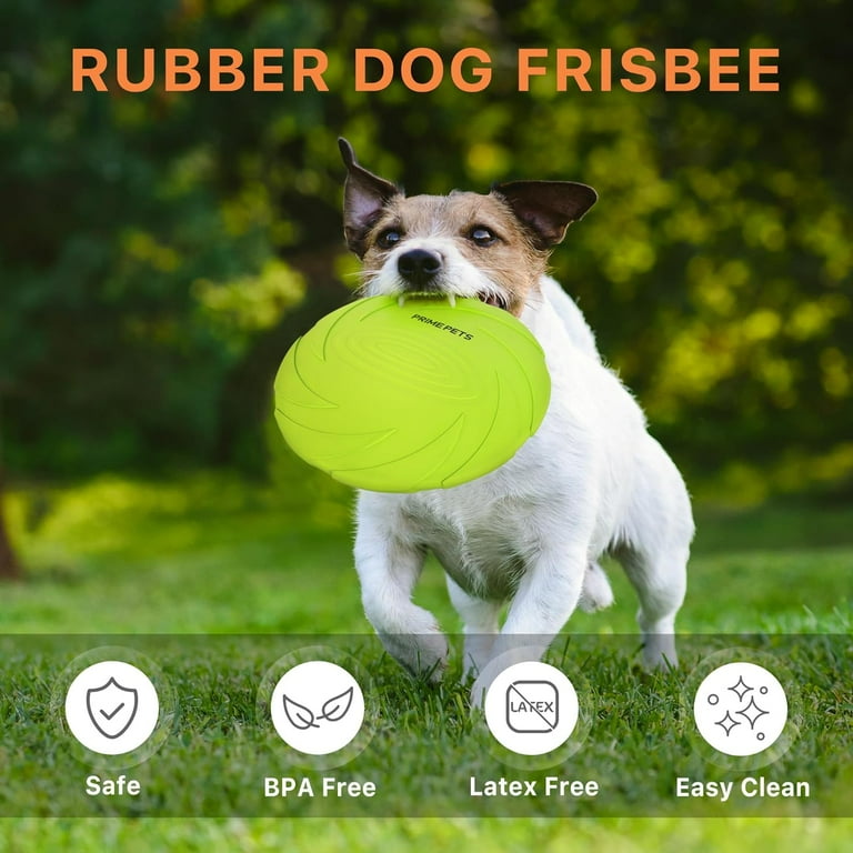 Floating dog frisbee online
