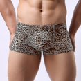 thumbnail image 1 of Ropa interior de ángulo plano que absorbe el sudor y cintura baja con estampado de leopardo para hombre, 1 of 1
