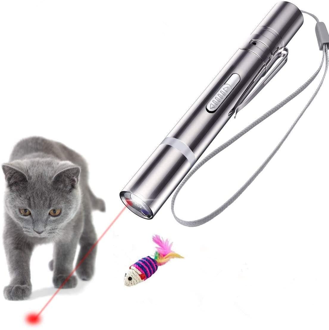 LED Pointer, LED Pointer USB Rechargeable Pet Interactive toy and a