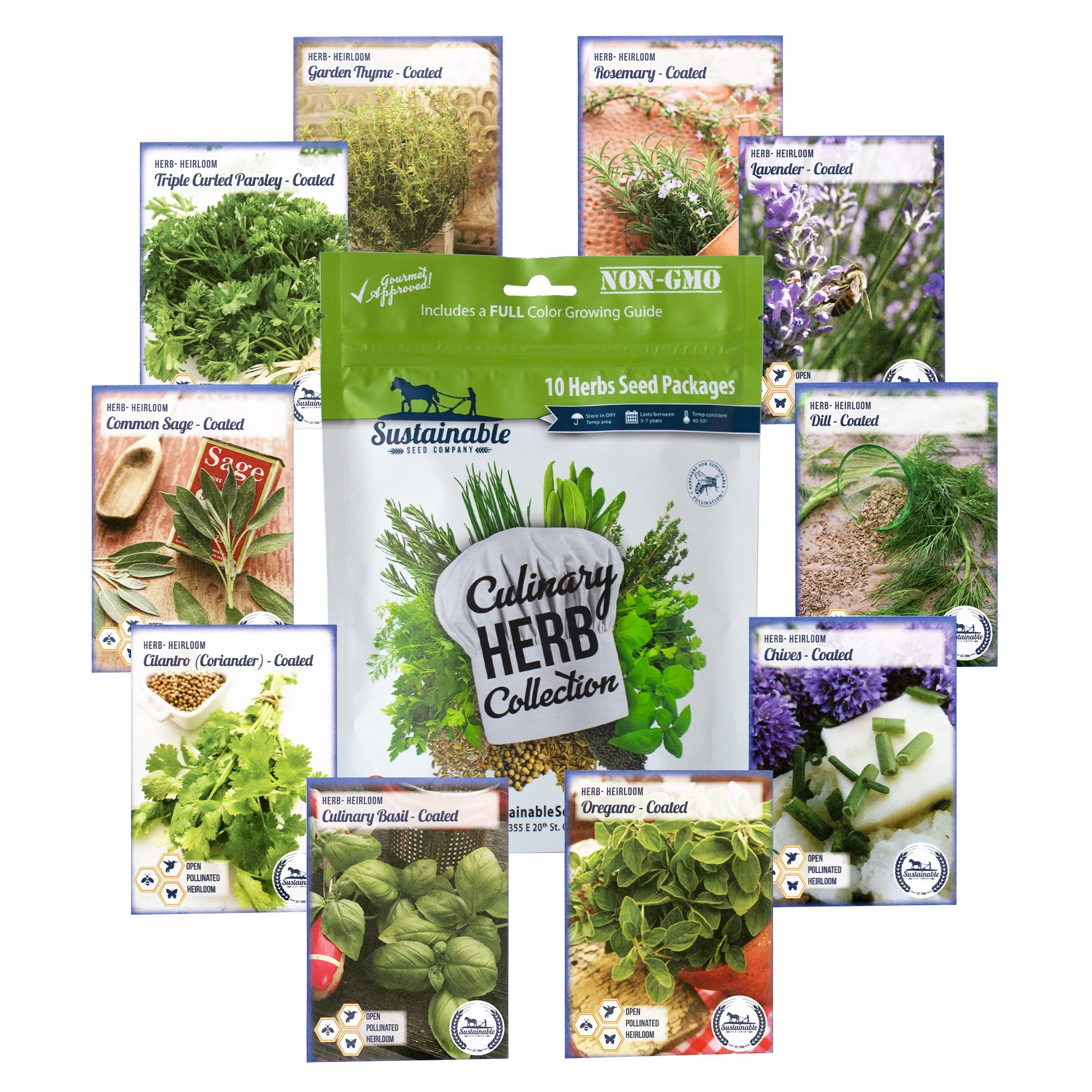 Sustainable Seed Culinary Herb Seeds Collection w/ Coco Coir Pellets and Growing Guide – 10 Non-GMO Heirloom Varieties: Basil, Thyme, Rosemary, Oregano, Lavender, Sage, Cilantro, Chives, and Dill