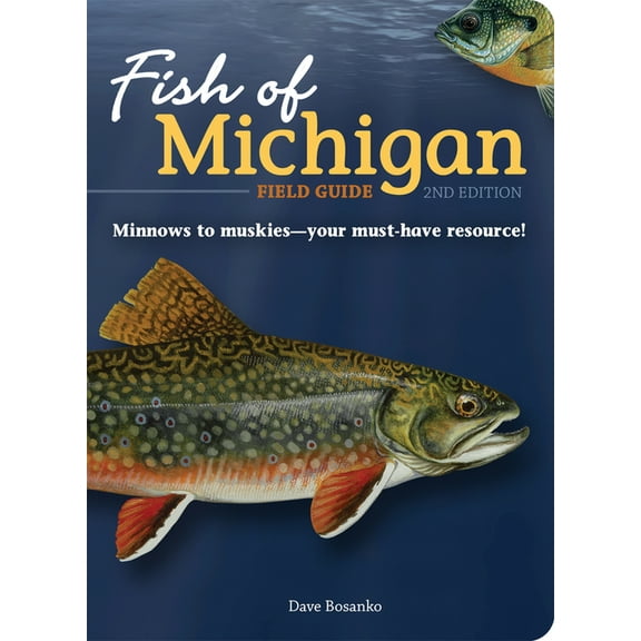 Fish Identification Guides Fish of Michigan Field Guide, (Paperback)