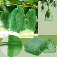 thumbnail image 5 of Zhuge 100 bolsas de protección para fresas, uvas y frutas, a prueba de pájaros y moscas de la fruta, para control de plagas de jardín, bolsas de malla roja, 11,81 x 15,75 pulgadas, 5 of 5
