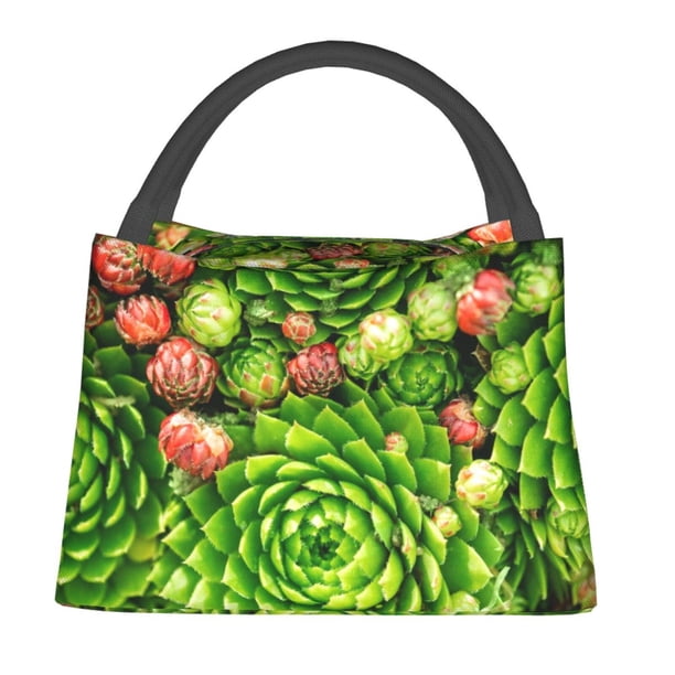 Fotbe Cactus And Succulents Bolsa Térmica Portátil con Estampado, Bolsa de Entrega de Alimentos Aislada, Bolsa Reutilizable de Gran Capacidad para Comidas y Supermercado
