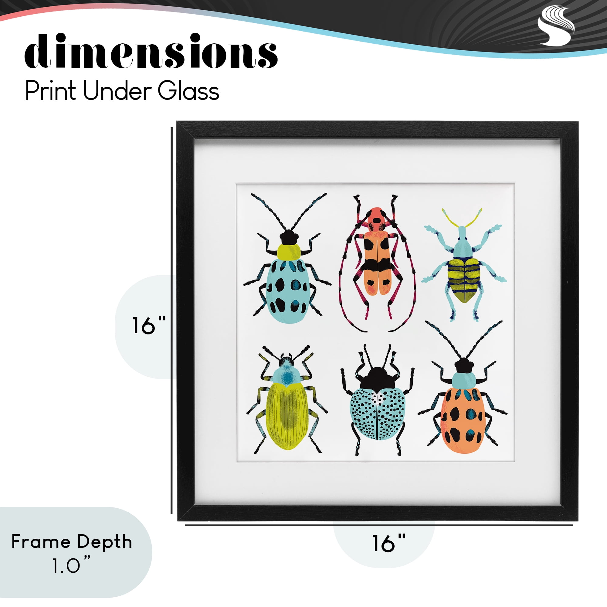 Stupell Industries Beetles & Bugs Collection Black Framed Print Under Glass, design by Metka Hiti