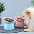 thumbnail image 4 of Elevated Pet Bowl Neck Protection Ceramic Cat Bowl Cat Water Bowl for Kitten, 4 of 10