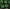 GREEN, variant on Minecraft Boys’ Print Swim Trunks with UPF 50+, Sizes 4-12