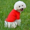 thumbnail image 3 of Farfi Pet Shirt Lapel Design Sweat-absorbent Solid Color Dog Two-legged T-shirt for Summer (Yellow,L), 3 of 13