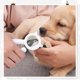 thumbnail image 1 of Cortaú?as para gatos, cortaú?as para perros, cortaú?as con lima, para animales peque?os, cortaú?as para gatos, tijeras para cobayas, hámsteres y conejos LingWen 8390605708411, 1 of 1