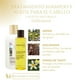 thumbnail image 2 of Kit Terramar Mascarilla Intensiva + Oleo Aceite Para El Cabello + Shampoo Extractos Oleosos Argán Macadamia Monoi de Tahití, 2 of 6