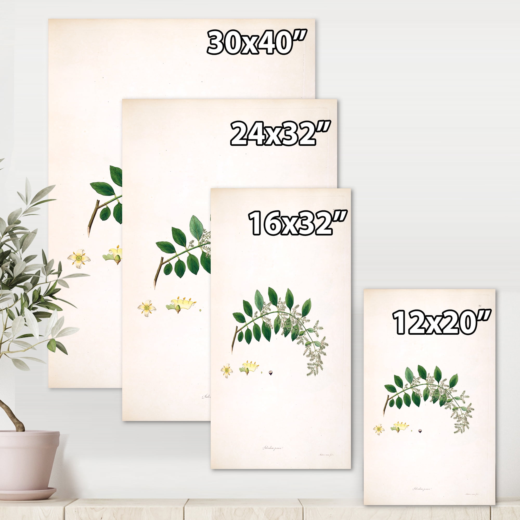 Designart ' Ancient Plant Life XVIII ' Farmhouse Canvas Wall Art Print