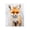 Woodland Nursery Fox, variant on Stupell Industries Farmhouse Woodland Nursery Raccoon Black Floating Frame Canvas Art, 17 x 21, by Franklyn Gregory