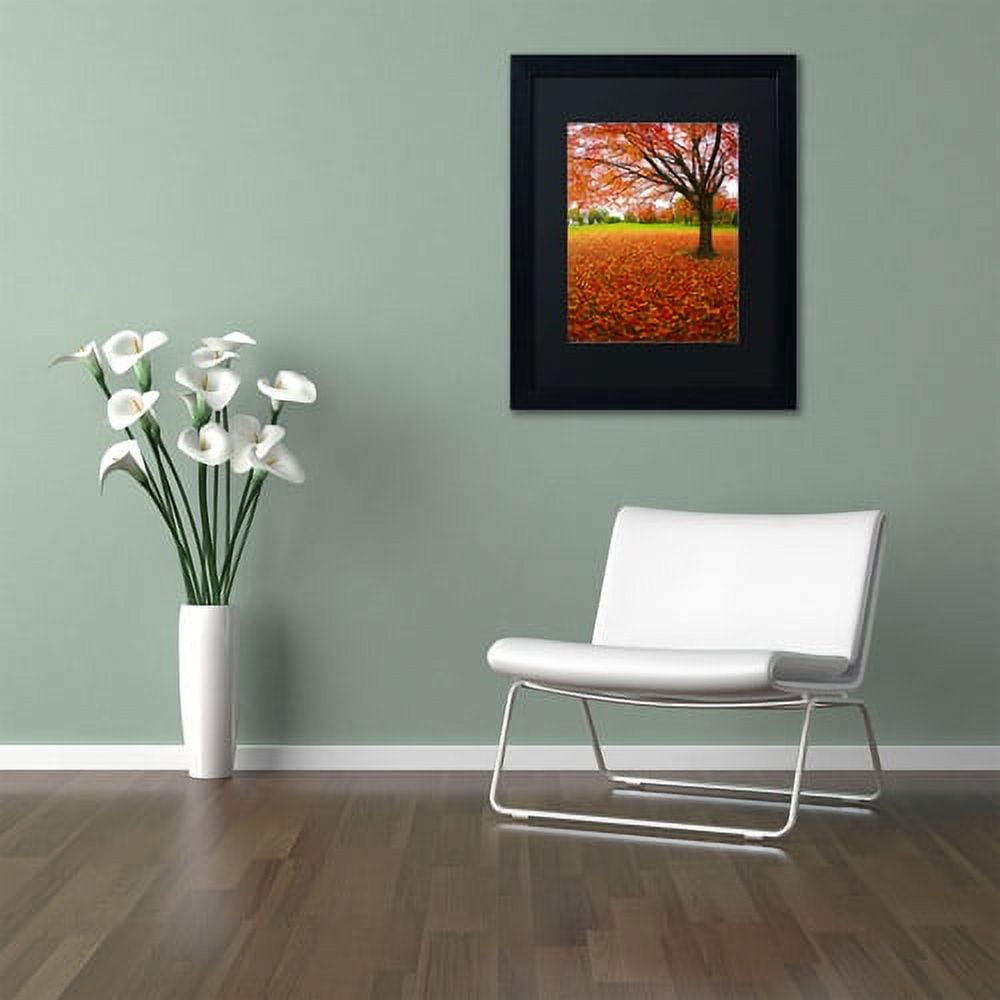 Trademark Fine Art "Autumn Expressions" Canvas Art by CATeyes, Black Matte, Black Frame