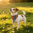 thumbnail image 6 of Hovilon Multi Color Striped Pet Bandana for Dogs and Cats, Soft Polyester Spandex Neck Scarf, Adjustable Puppy Kitten Triangular Bib Wrap, Colorful Pet Clothing Accessory for Daily Walks and Photos, 6 of 6