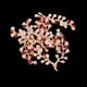 thumbnail image 5 of 5 Piezas Hojas Rhinestone Botón Ftback Adorno Artesanal Para Bricoje Nupcial Sunnimix Rhinestone Flatback botones, 5 of 8