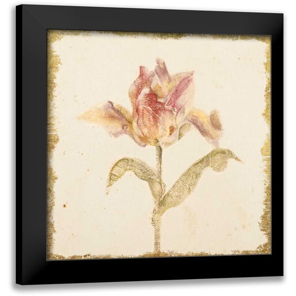 Blum, Cheri 12x12 Black Modern Framed Museum Art Print Titled - Vintage Zoomer Schoon Tulip Crop