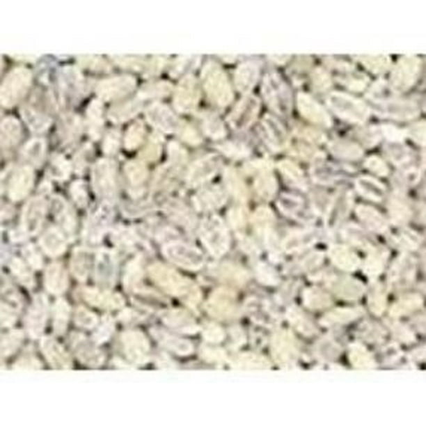 BULK GRAINS case of 25